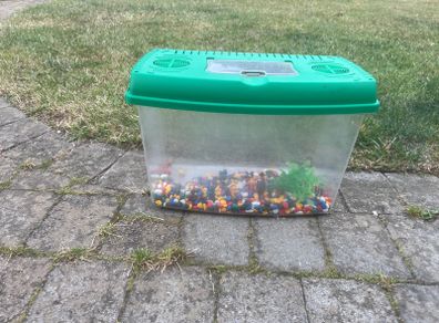 Fish Tank