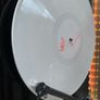 Neu! - Neu! Image 4