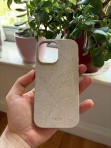 iPhone 17 Phone Case Pela London Fog Island Etch Case