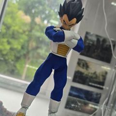 Imagination Works Goku and Vegeta (READ DESCRIPTION)