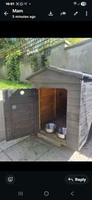 dog box