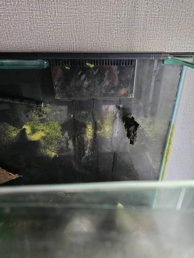1000ltr Fish Tank Best Offer Takes It, Need It Gone Asap