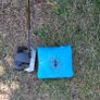 TaylorMade Spider ZT Image 2