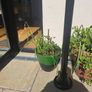 10 garden pots and plants inc Image 4