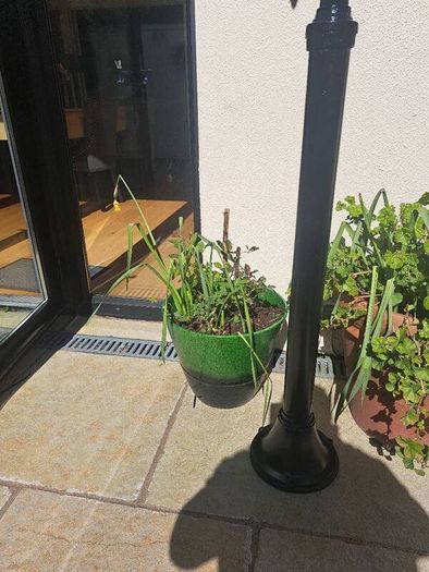 10 garden pots and plants inc