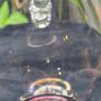 Jerpoint Glass Handcrafted Studio Art Glass Pitcher Purple Base Image 6