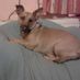 Annabell7