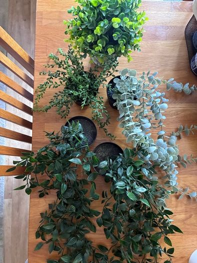 Bundle of 5 Artificial Trailing Plants (IKEA Fejka & Dunnes Stores)
