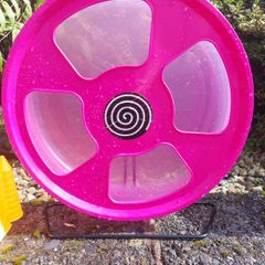 Hamster spinning wheel