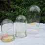 3 X Victorian Glass Domes Image 2