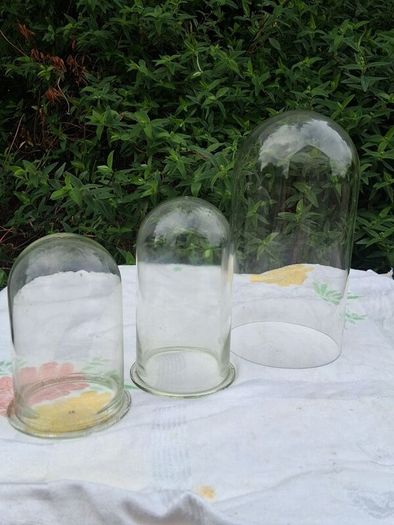 3 X Victorian Glass Domes