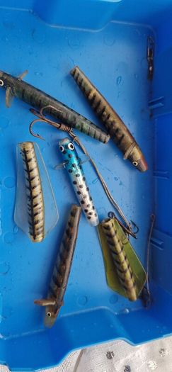 tasmanian devil lures wanted interested in old lures minnows tillins cobra Ashley spinner lures or tasmanian devils lures