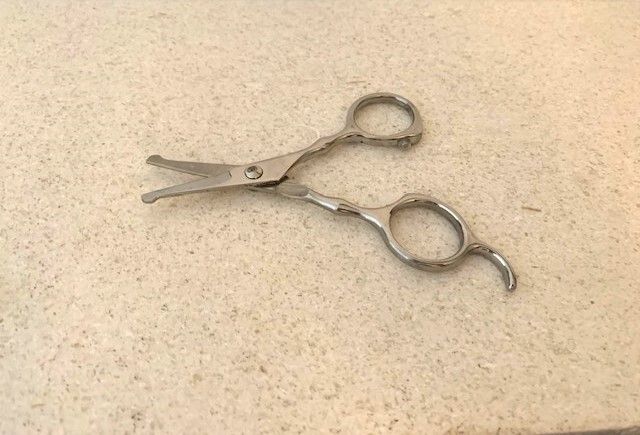 Dog Scissors