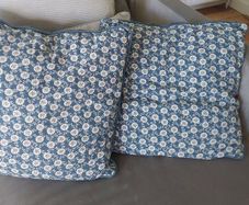 Blue and white cushions