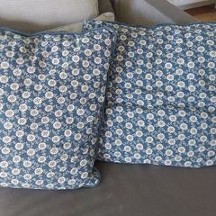 Blue and white cushions