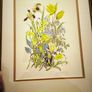 Limited edition botanical print by Jenny Jowett Image 8
