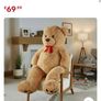 Extra Large Teddy Image 2