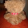 Cuddly Christmas Bear for Sale Image 5