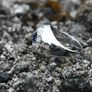 Vintage Ladies or Gents 1960s Sapphire & Diamond Ring Image 7