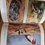National Geographic magazines x 400 from early 20th century to 2009 Image 5