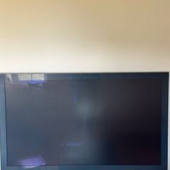 Sony Widescreen TV with Stand