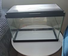 Fish Tank
