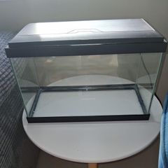 Fish Tank
