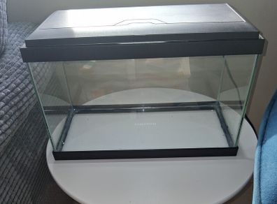 Fish Tank
