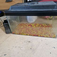 Fish Tank