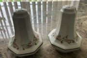 Eternal beau Salt &amp; Pepper Set