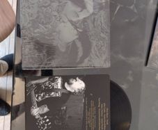 vinyl Corrupt Moral Altar Eunoia