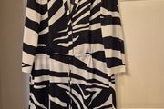 DVF  Silk Shirt dress