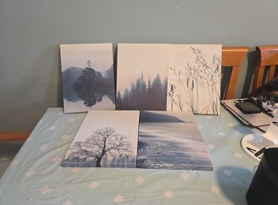 5 set of Canvas prints