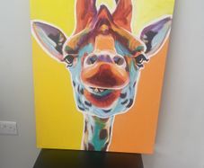 Giraffe Picture