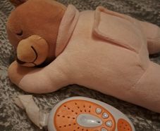 Slumber bear