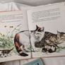 Beautiful Lot of Vintage Children books Image 9