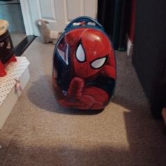 cabin spider man