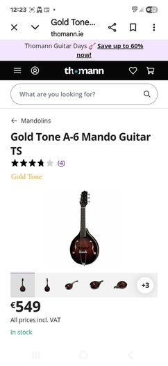 Mandolin