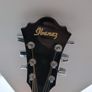 Ibanez SGT120E Image 2