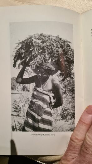 The Gwari Tribe In Abuja Emirate By Mallam Shuaibu Na Ibi. A Nigeria Magazine Special Publication. Paperback In Good Condition.