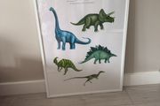 Dinosaur Picture