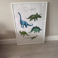Dinosaur Picture