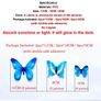 Butterflies Image 3