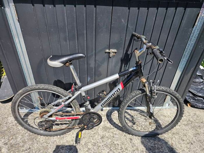 2 24" bikes