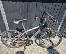 2 24" bikes