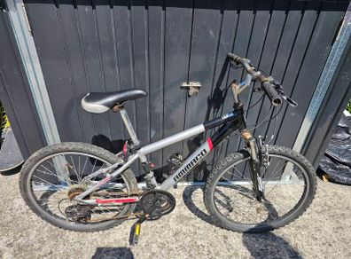 2 24" bikes