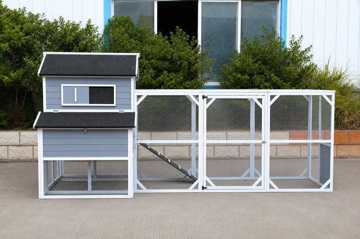 Large Chicken Coop 6 8 Birds Outdoor Waterproof Chicken Shack