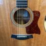 Taylor 310 Image 2
