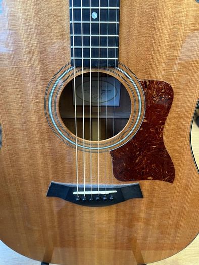 Taylor 310