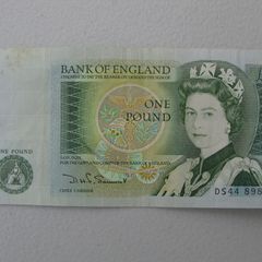 Bank of England One Pound Note Series D